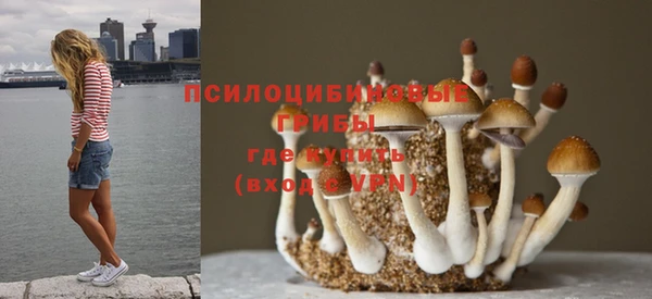 мяу мяу мука Валдай